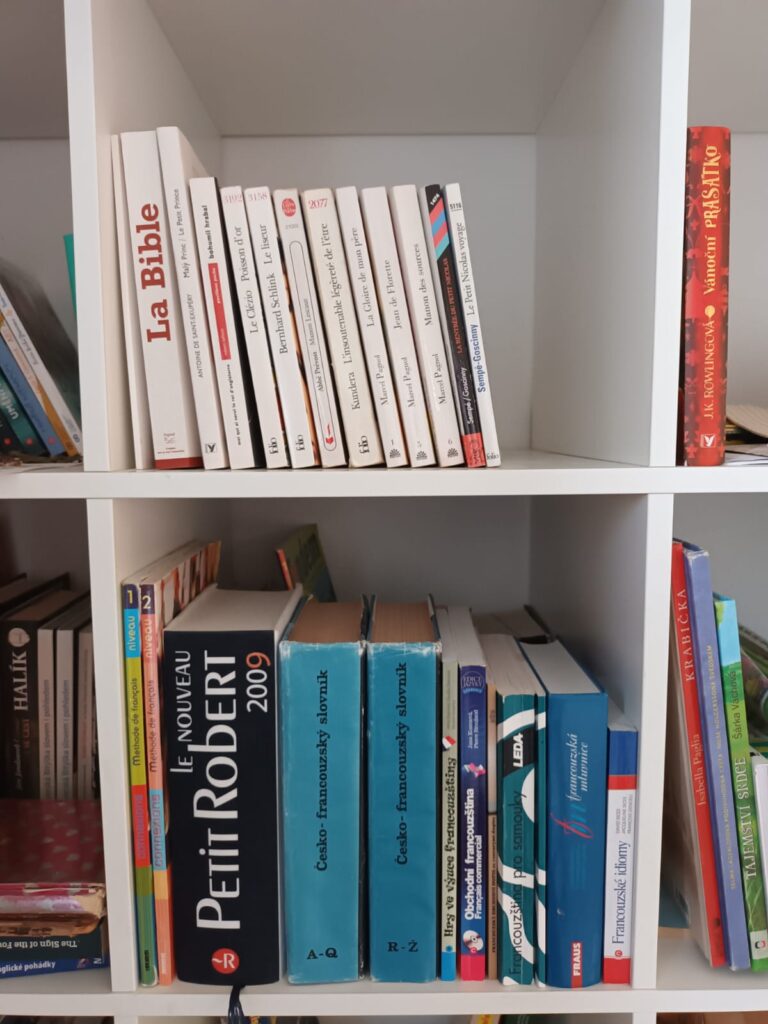 online lekce francouzštiny